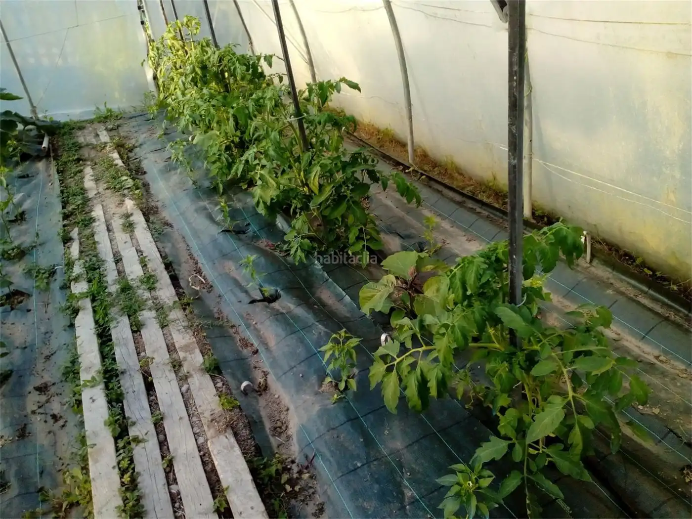 House for sale in Urbina Entitatea 32, imagen 12