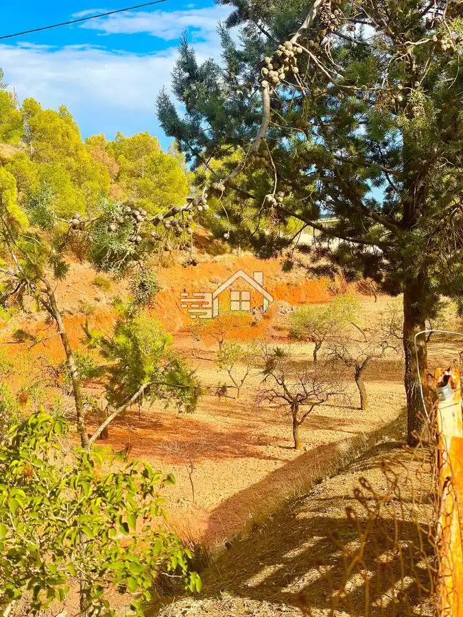 Casa rústica en venta en Vélez-Rubio, imagen 2