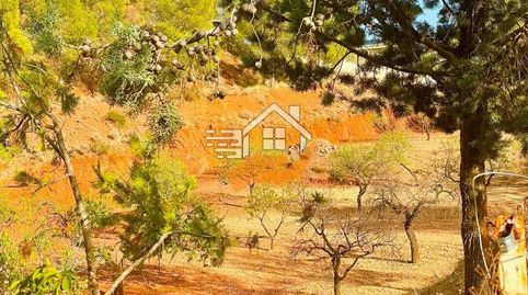 Casa Rural en venta en VélezRubio, 3 dormitorios., immagine 2