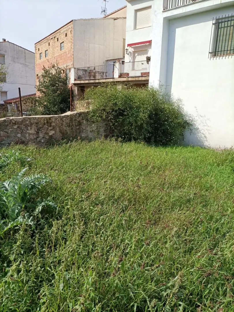 Casa o xalet en venda en Algimia de Almonacid amb Jardí privat, Terrassa i Moblat