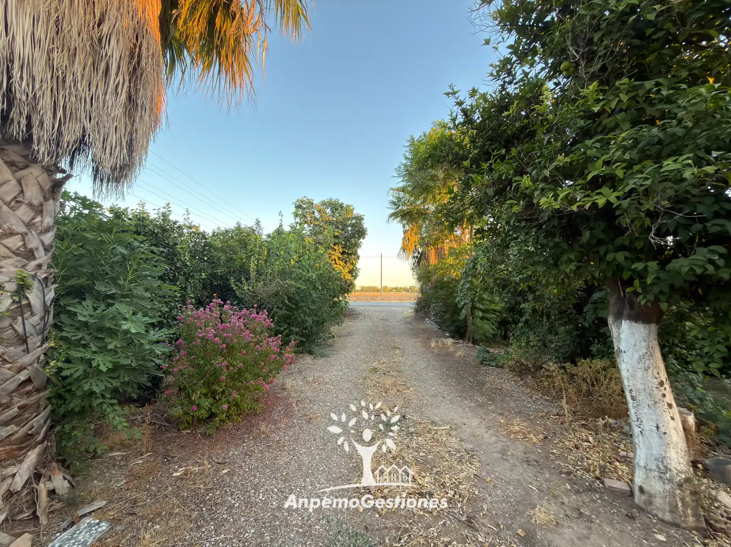Casa amb jardí en venda a Diseminado Cr Remolino 38, imagen 18