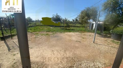 Foto 2 de Casa o xalet de lloguer a Partidas Norte, Málaga