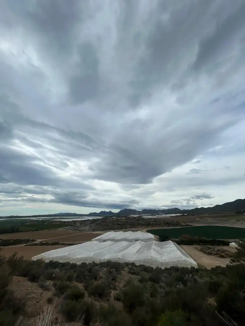 Terreny rústic en venda a Lugar Huerta del Abad 16, imagen 2