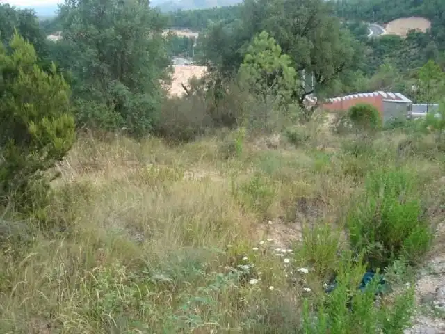 Terrenos y solares en venta en Riudarenes, imagen 4