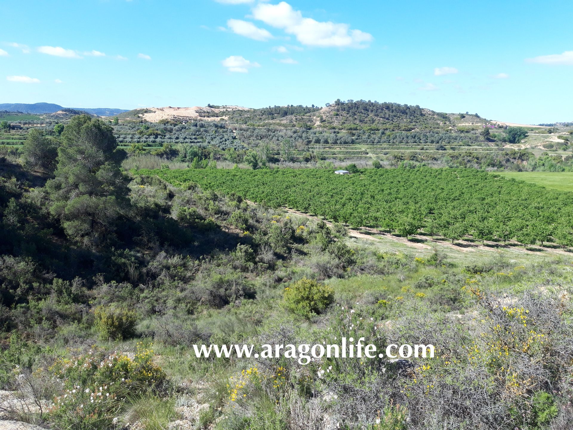 Country house zum verkauf in Caspe