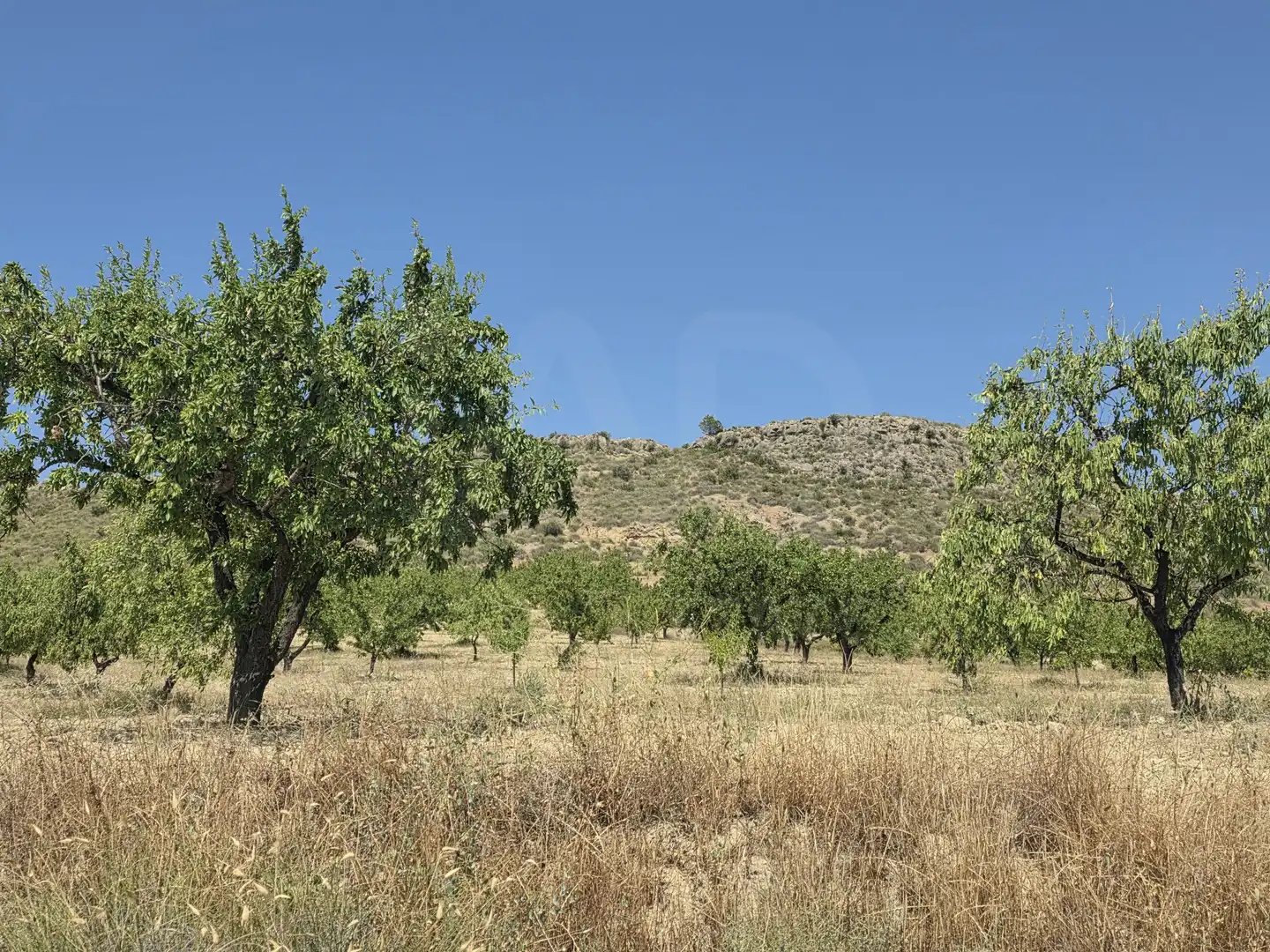 Terrenys i solars en venda a Cehegín, imagen 5