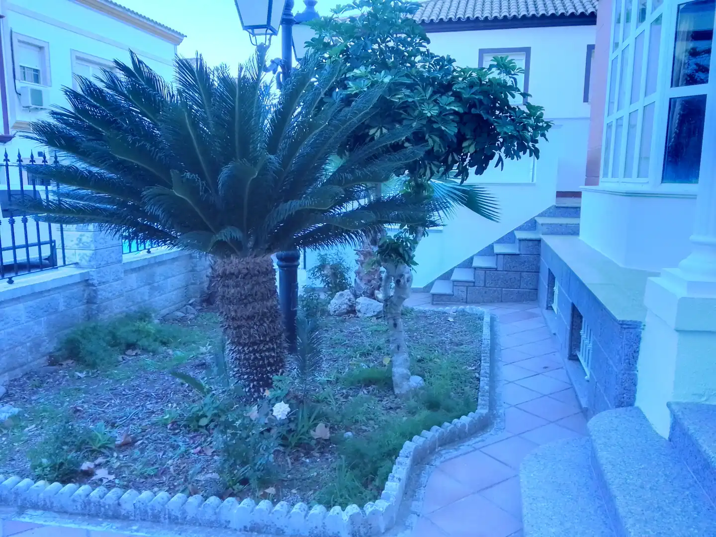 Jardín de Casa o chalet en venta en Prado del Rey con Jardín privado, Terraza y Amueblado