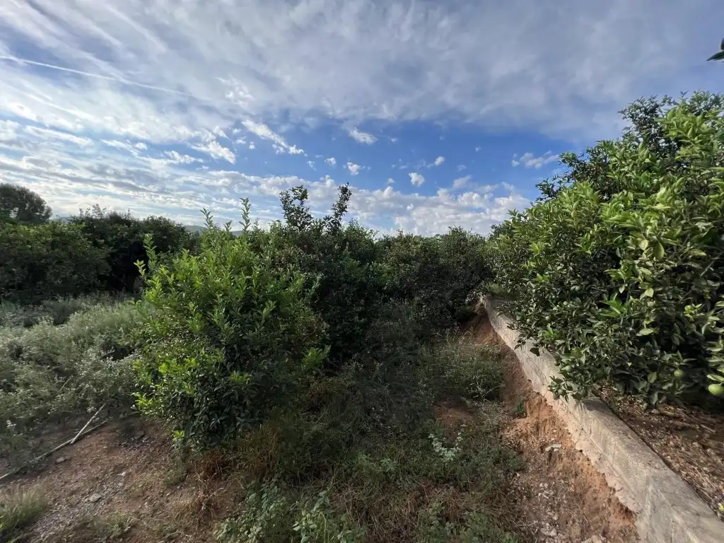 Chalet en venta en Urbanitzacions i Pedanies Nord, imagen 12