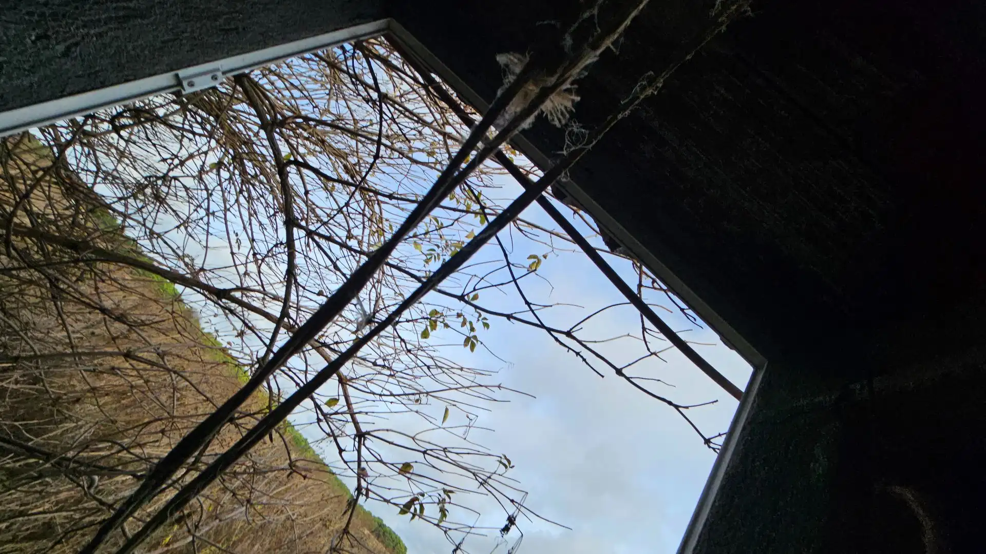Nave industrial en venta en poligono 1 parcela 667, 1, Fuentepelayo