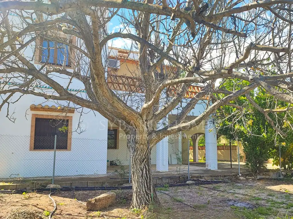 Villa mit Terrasse zum Verkauf in Partida Marjal, imagen 28