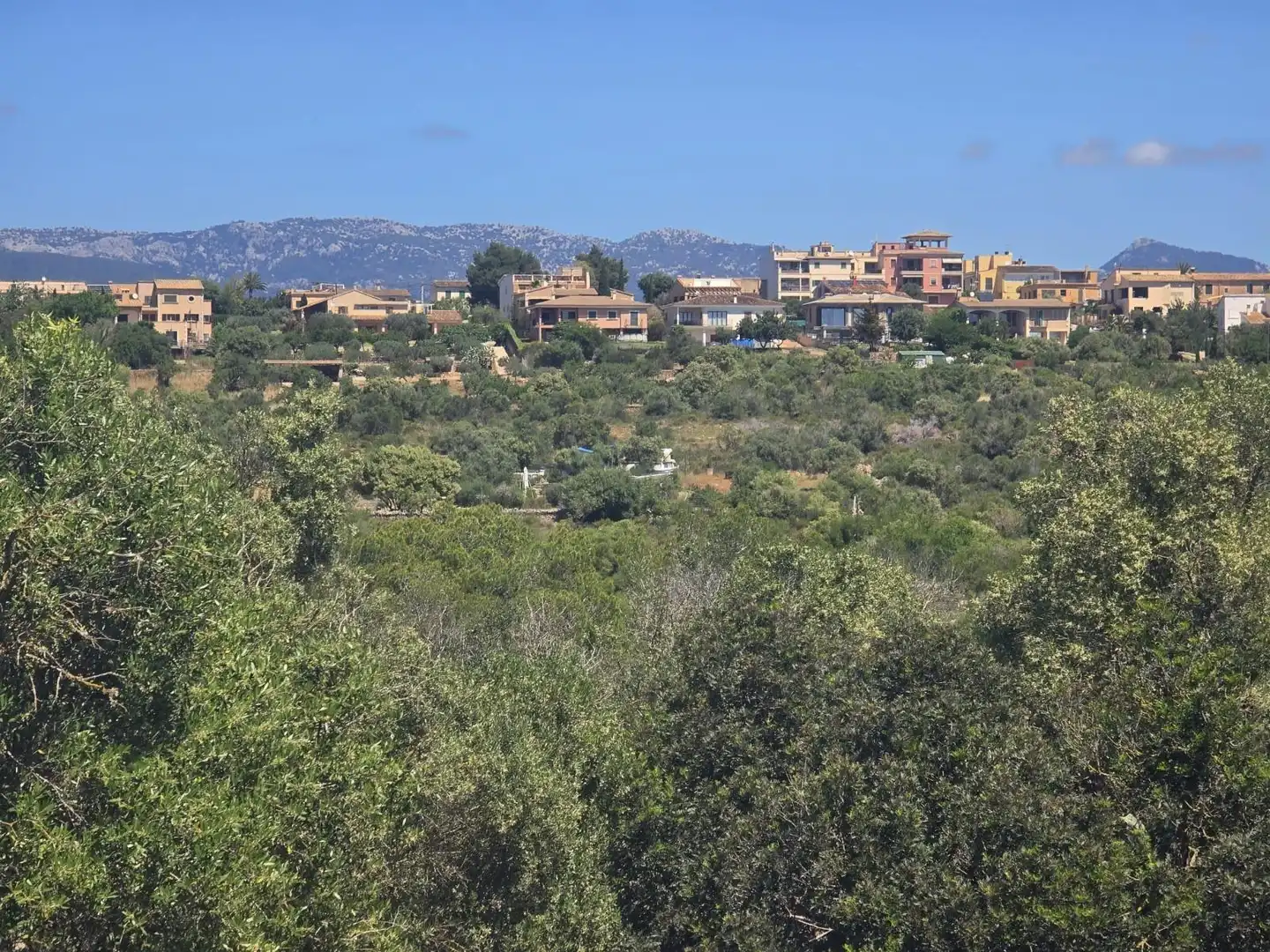 Vista exterior de Finca rústica en venta en Marratxí con Terraza