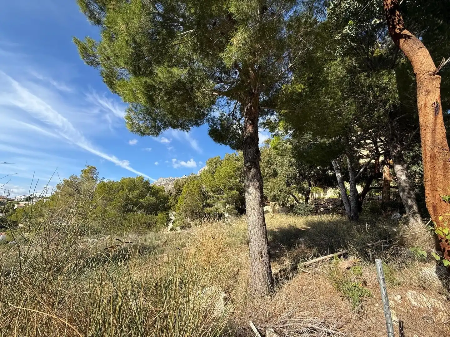 Terreny residencial en venda a Avenida Principal de la sierra, imagen 18