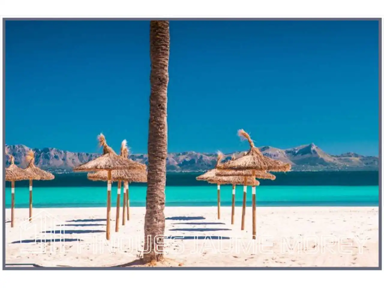 Local de lloguer a Avenida Platja, 2, Port d'Alcúdia - Platja d'Alcúdia