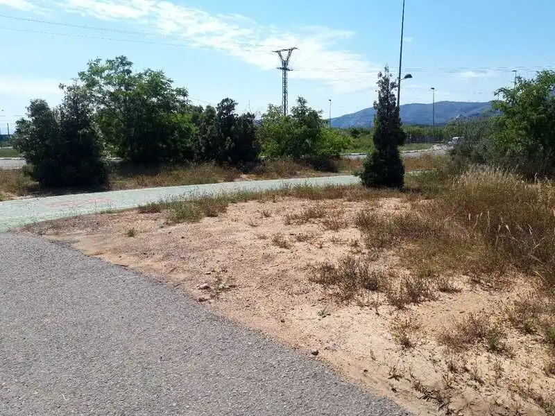 Terreny rústic en venda a PARAJE TORRE DEL BARÓN, imagen 6