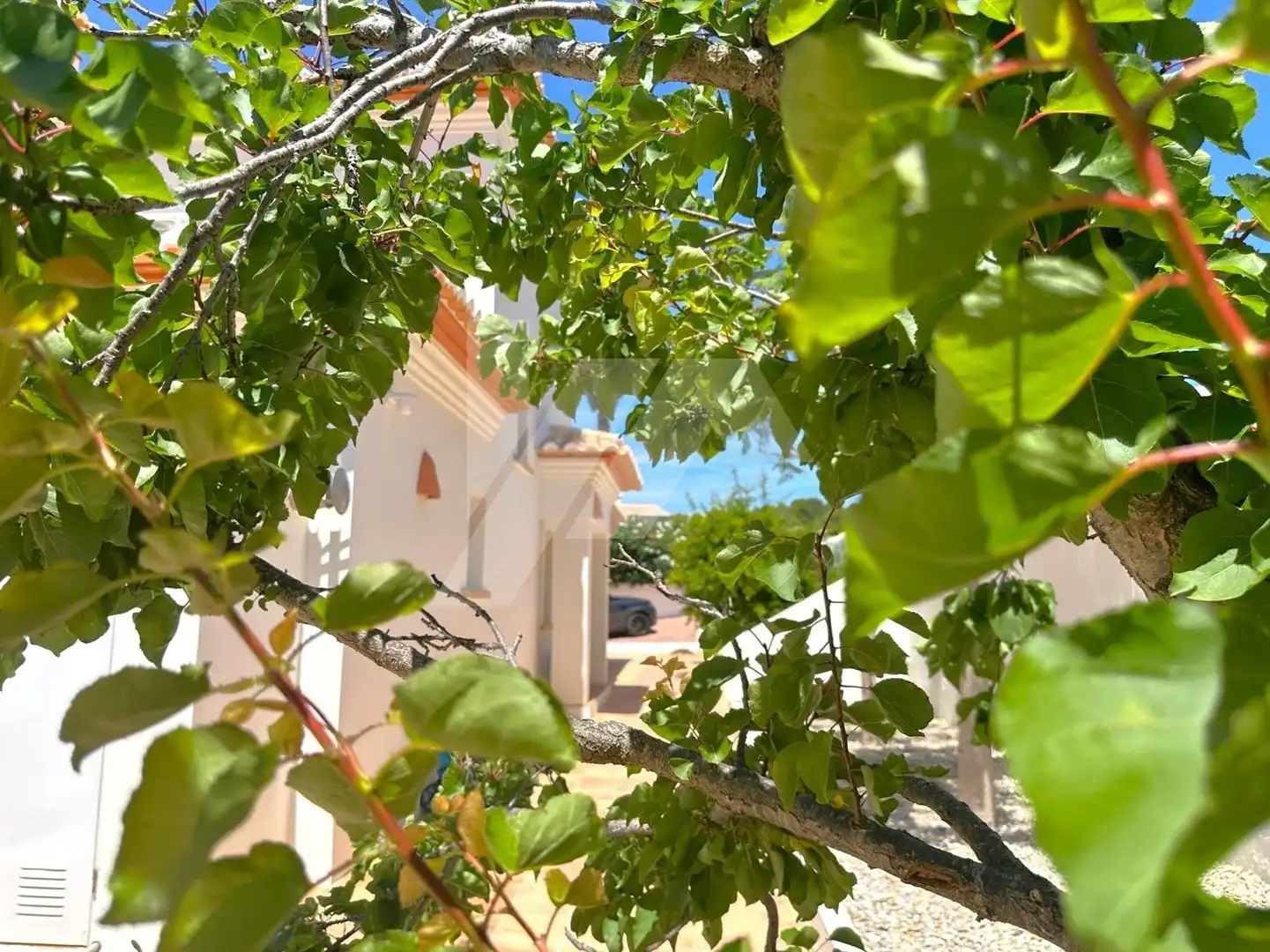 Villa con terrazza in vendita a Cala Advocat - Baladrar, imagen 42