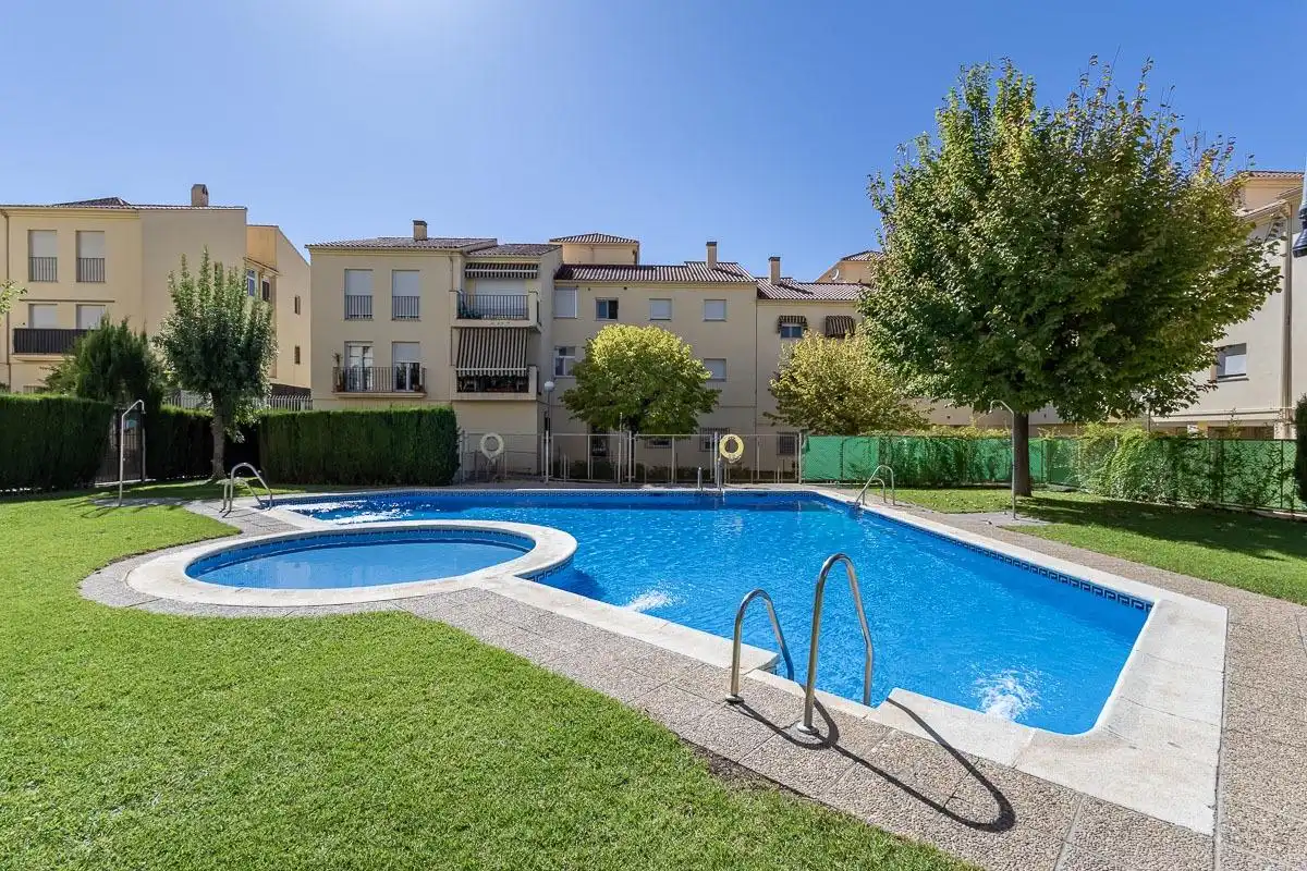 Swimming pool of Flat for rent in Genil