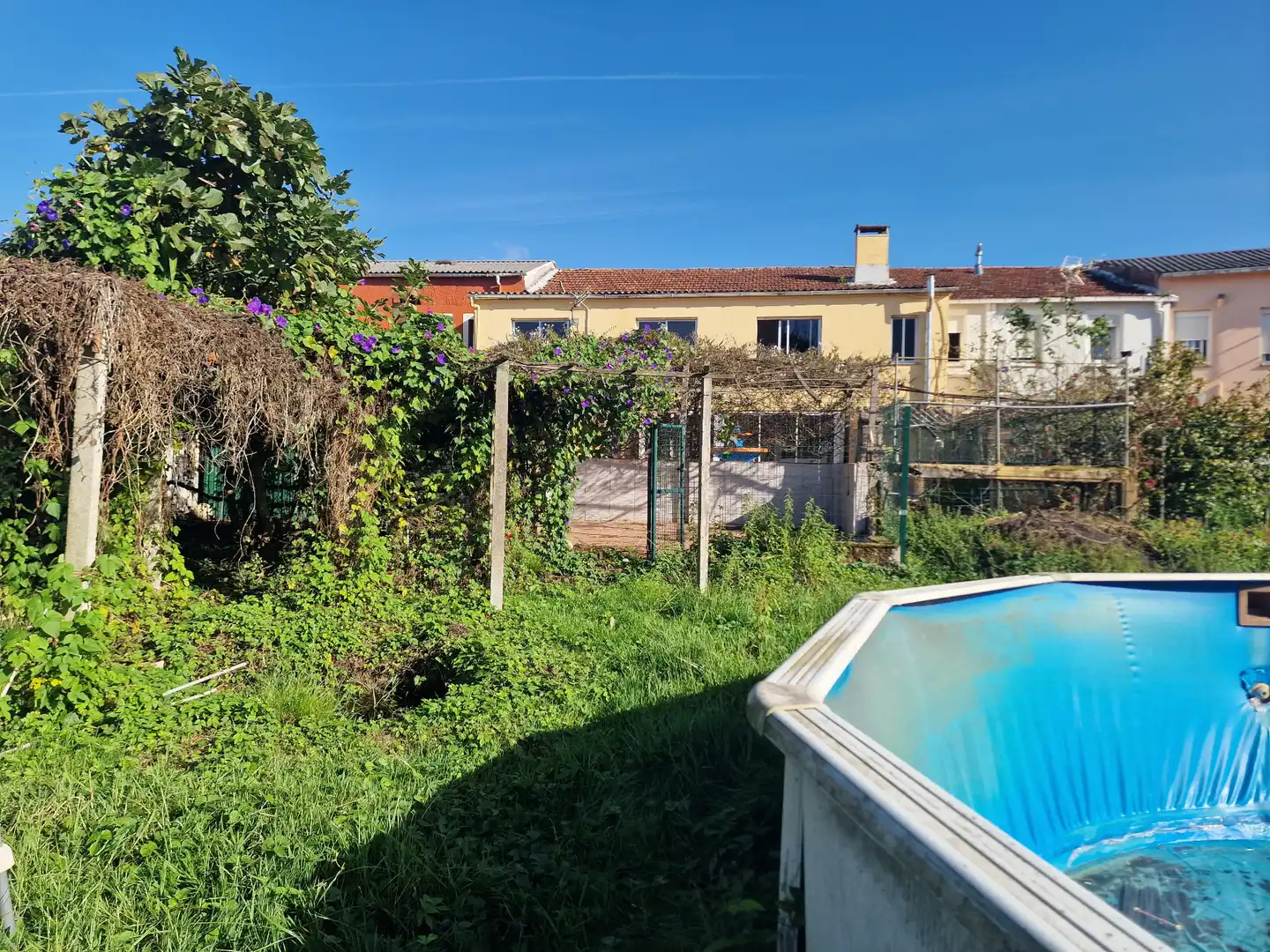 Piscina de Casa o chalet en venta en Fene, A Coruña