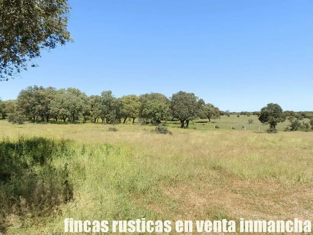 Terreno rustico in vendita a Ciudad Rodrigo, imagen 10