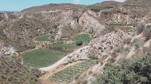 Finca, imatge 3