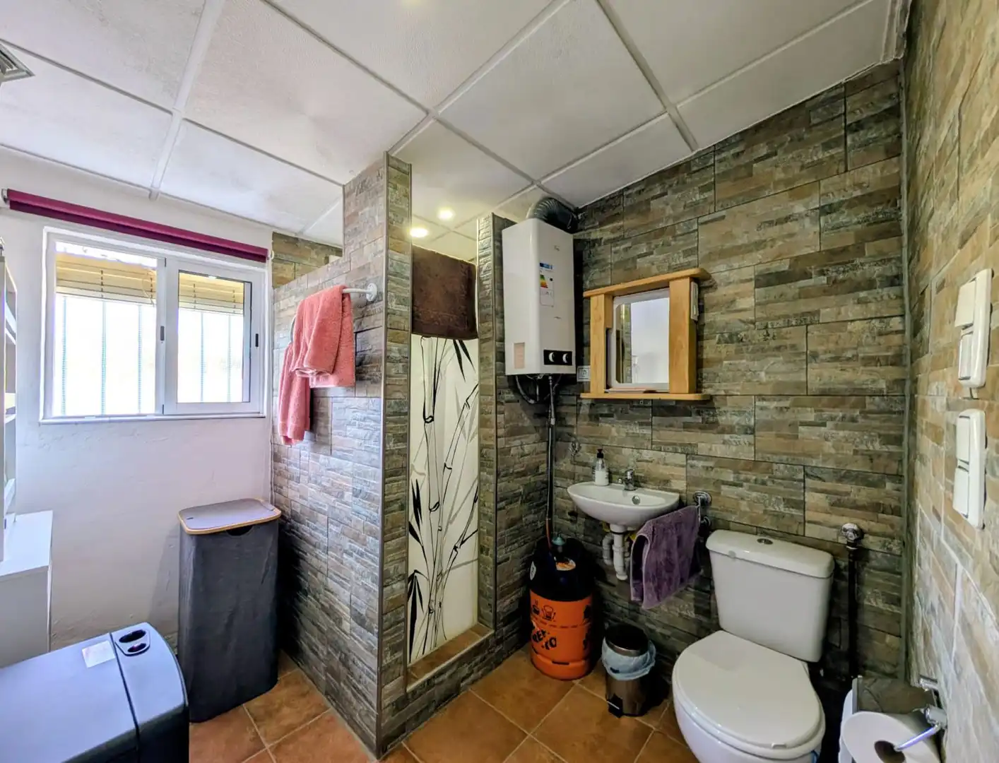 House with garden for sale in Realenga de Agicampe, imagen 19