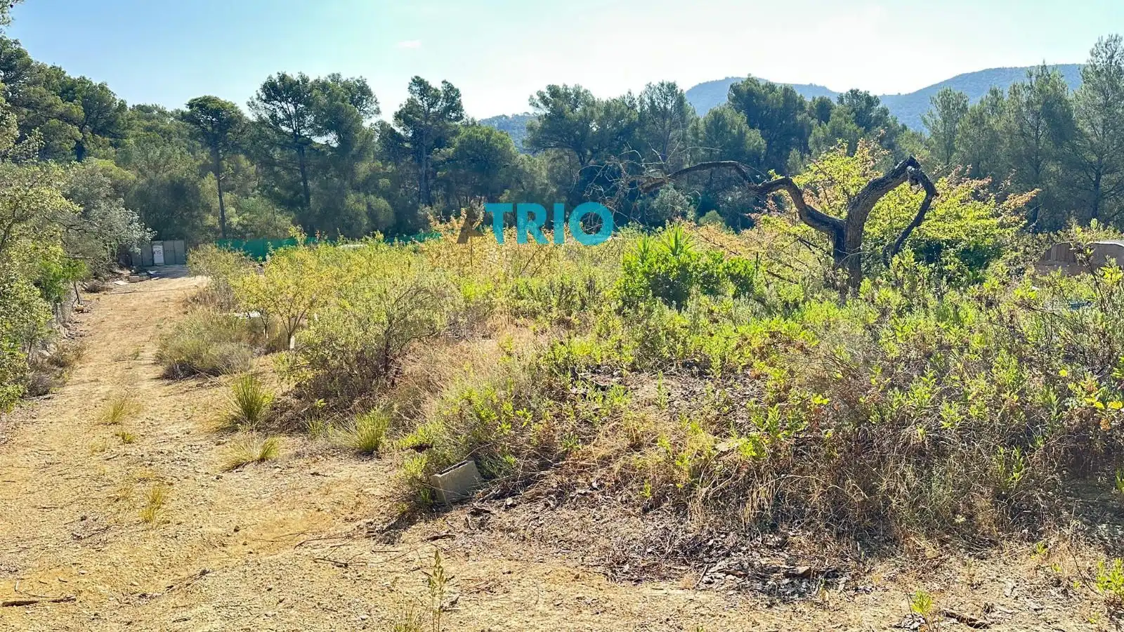 Terreno rustico in vendita a Algaida, imagen 8