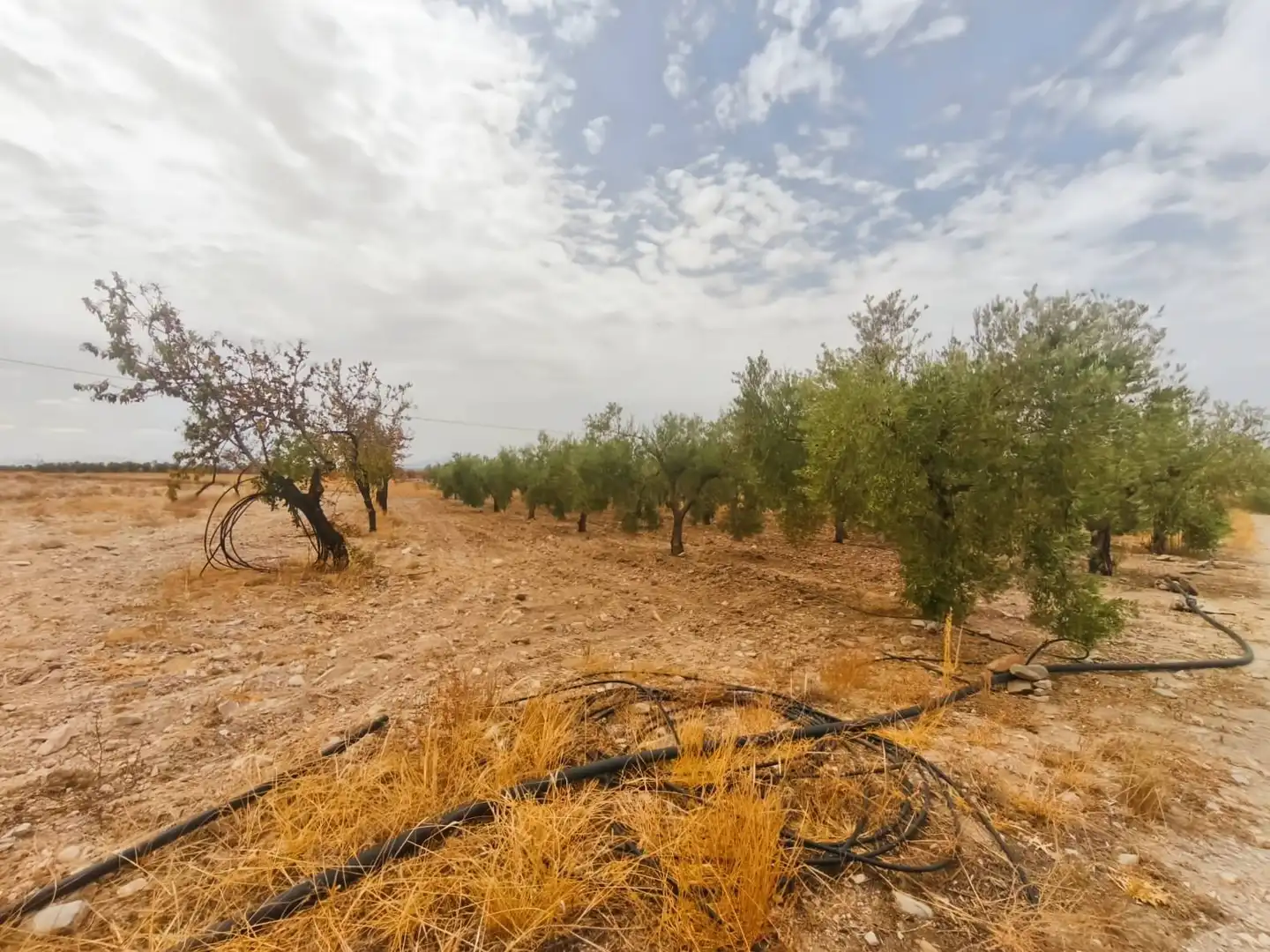 Rustikales Grundstück zum Verkauf in Uleila del Campo, imagen 12