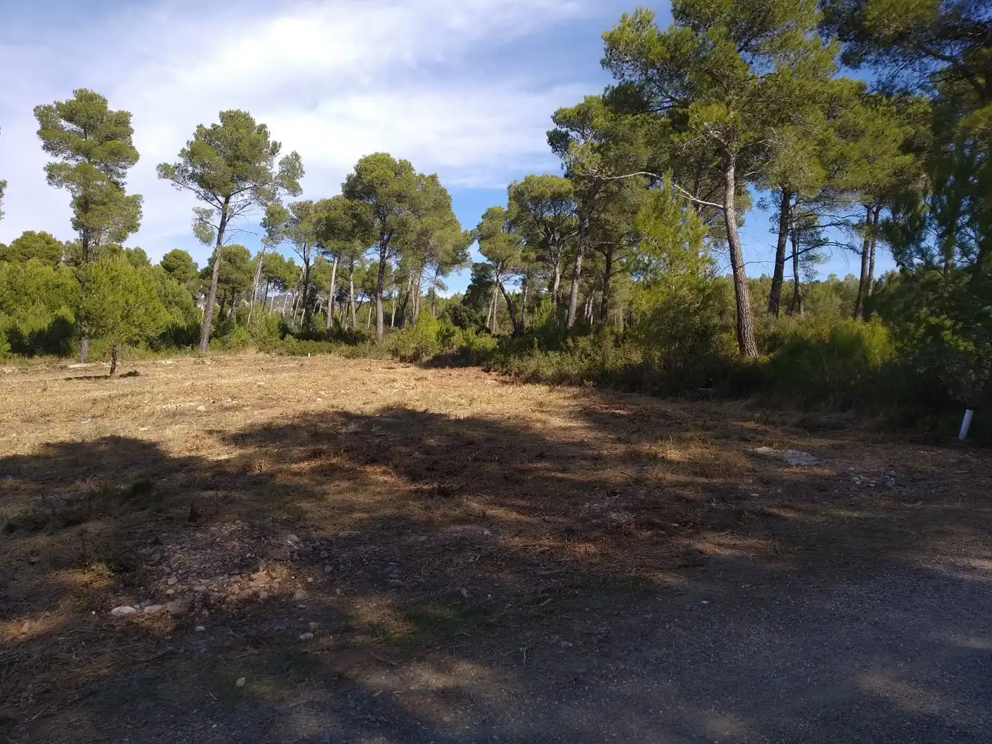 Terreny residencial en venda a Cabra del Camp