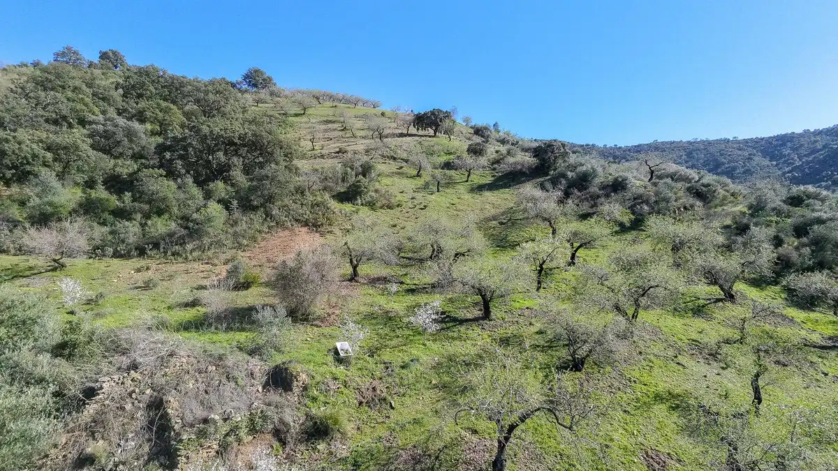 Terrenos y solares en venta en Este, imagen 4