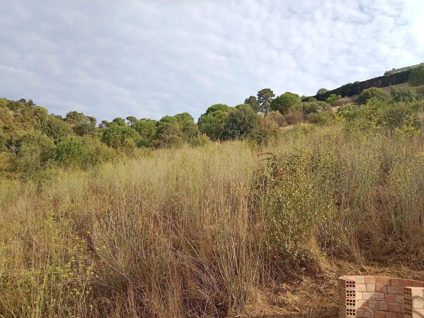 Terrenos y solares en venta en Sant Cebrià de Vallalta, imagen 4
