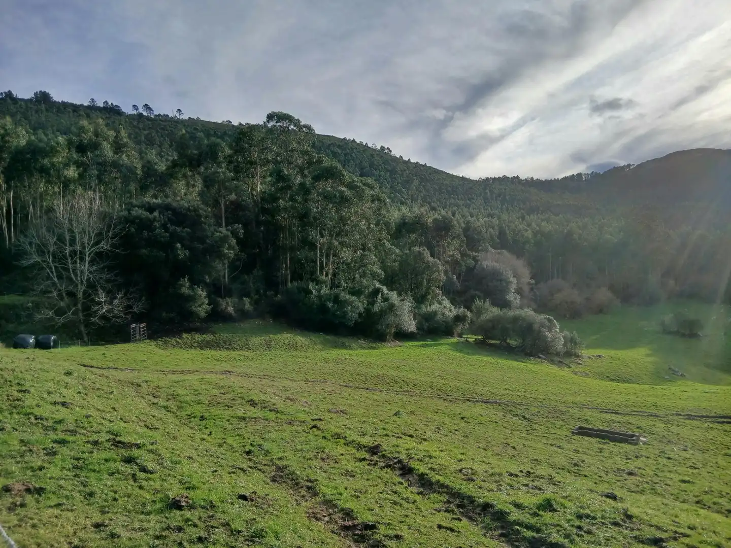 Casa o xalet en venda en Medio Cudeyo