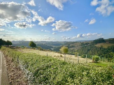 Terreno residenziale in vendita a Llomba, La - La Llomba, Pruvia 10
