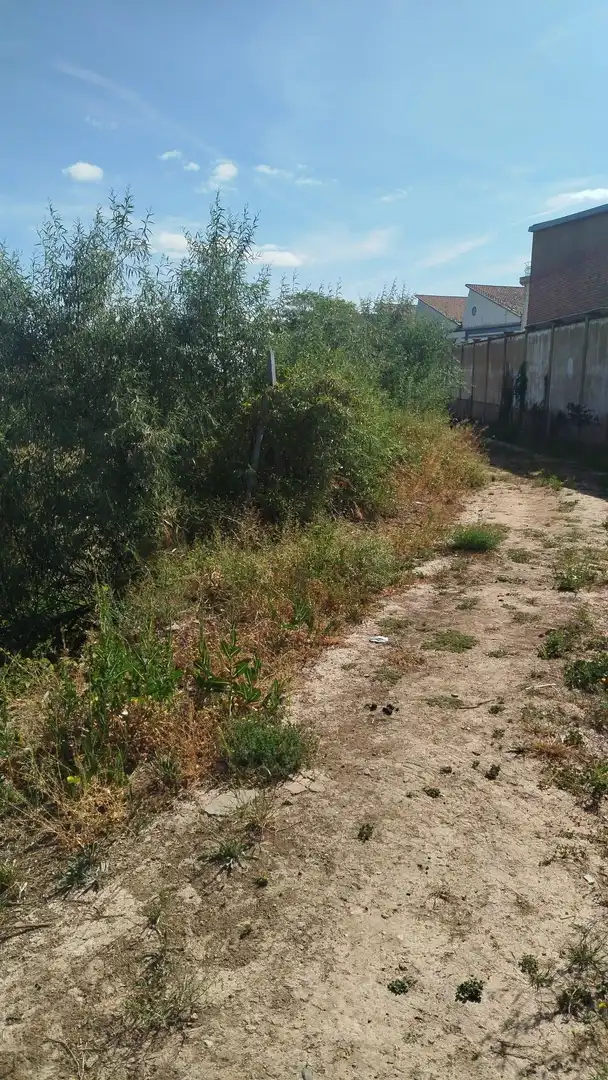 Rural land for sale in Tarazona, imagen 2