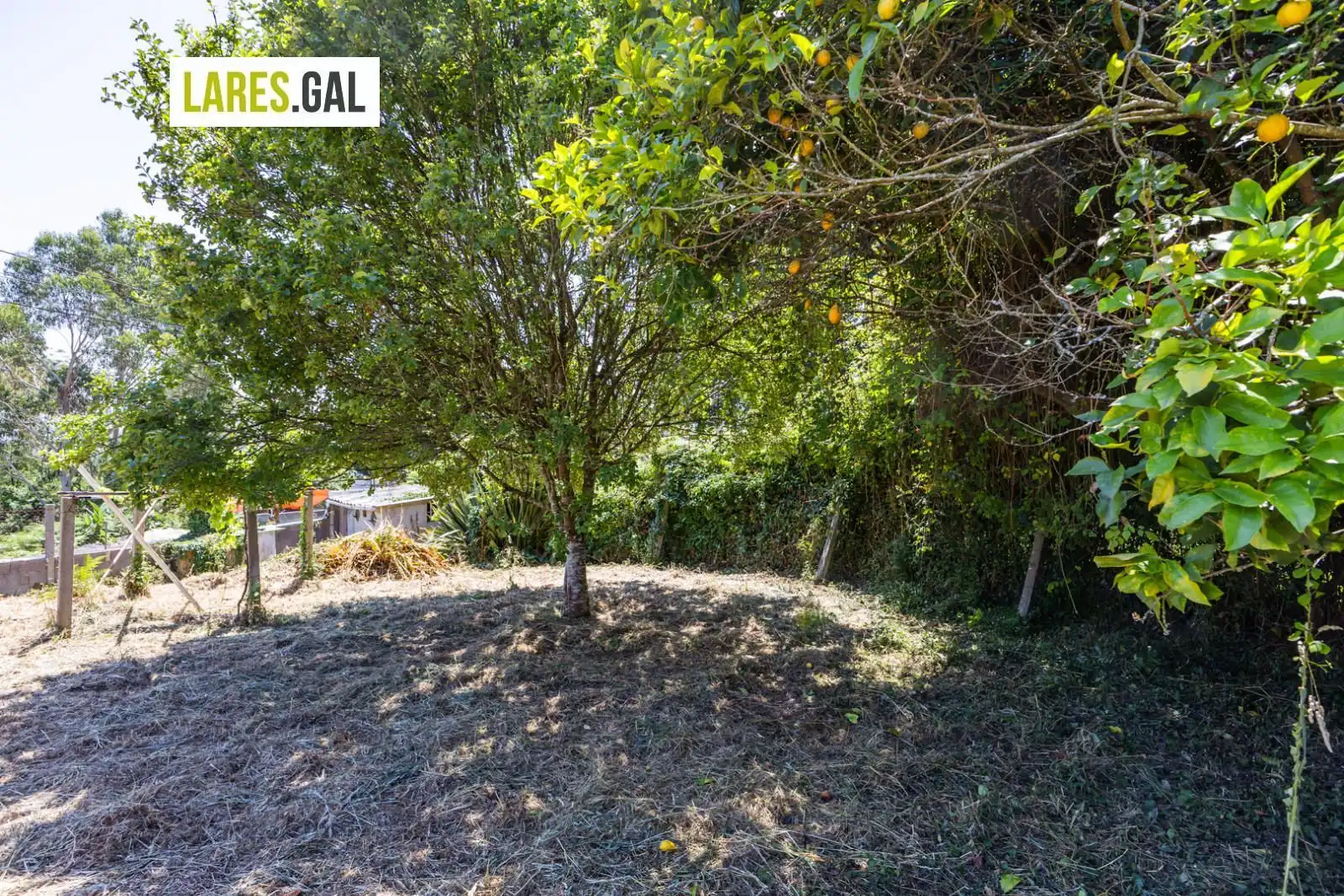 Lands and plots for sale in Ourelo, imagen 21