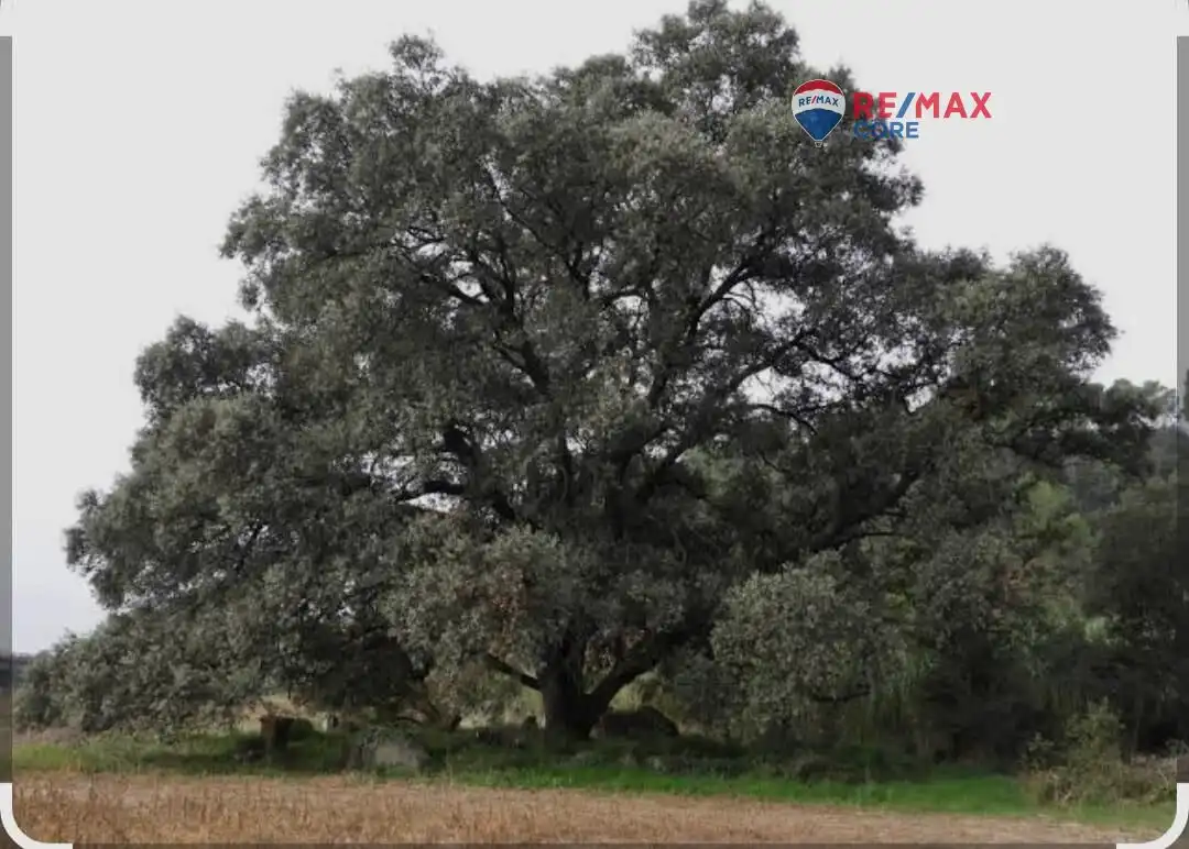 Terreno en venta en La Roca de la Sierra 