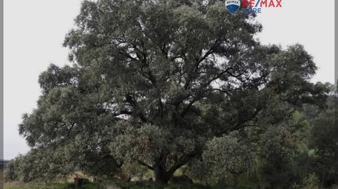 Foto 2 von Grundstücke zum Verkauf in La Roca de la Sierra , Badajoz