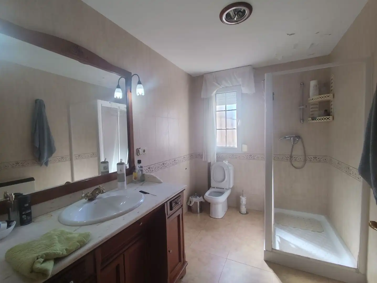 House with terrace for sale in GRANADA 29, imagen 2