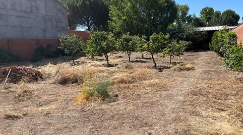 Terreno urbano en Coca (Segovia) – 650 m² con agua y zona techada