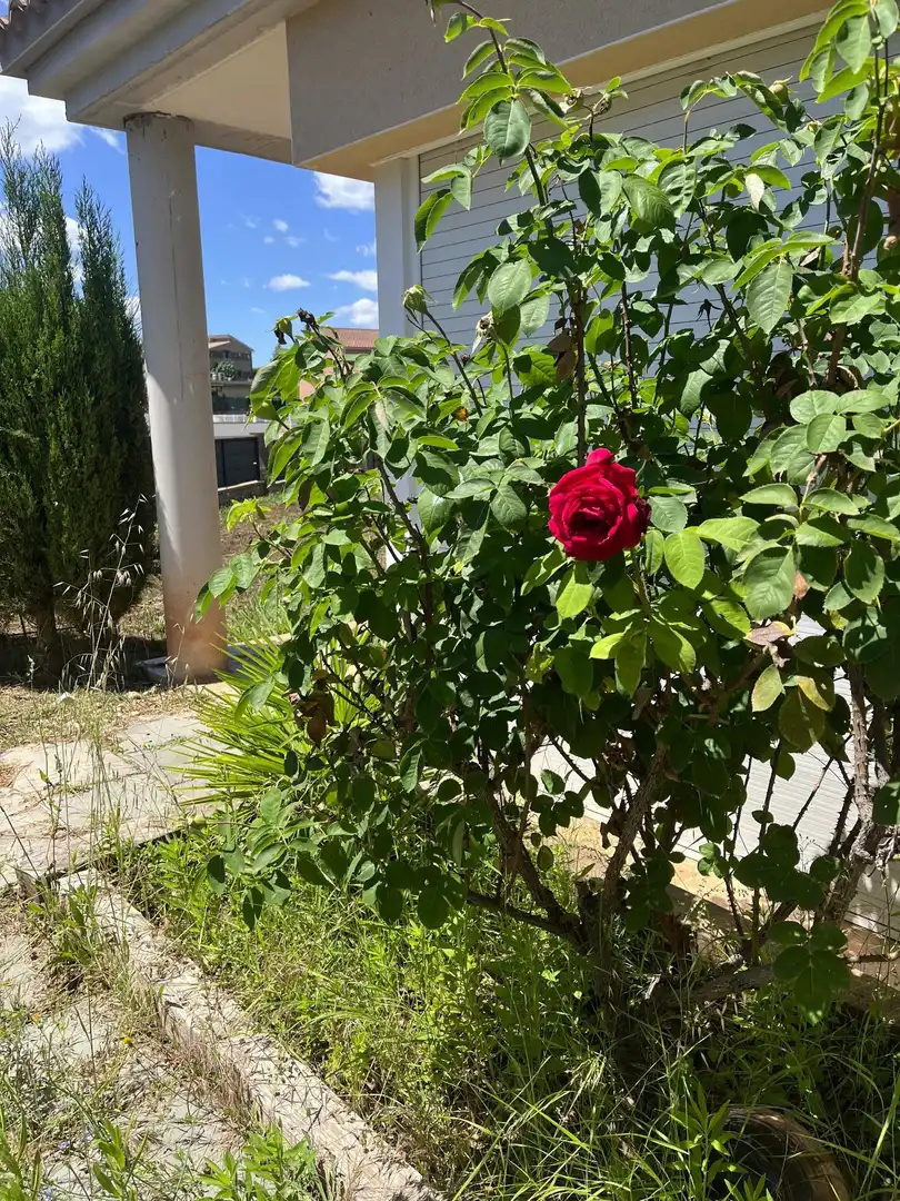 Houses for sale in Jorba, Barcelona