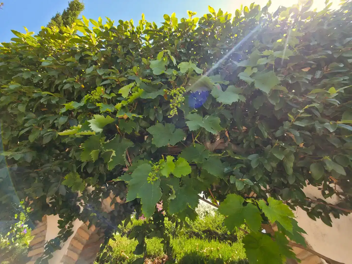 Jardí de Casa adosada en venda en Marbella amb Aire condicionat i Balcó