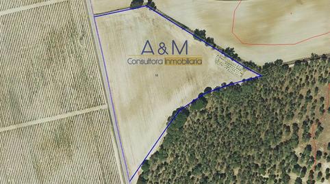 Photo 3 of Land for sale in Cuatro, Torrecilla de la Abadesa, Valladolid