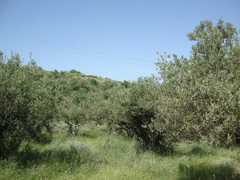 Terreny rústic en venda a Villamediana de Iregua, imagen 2