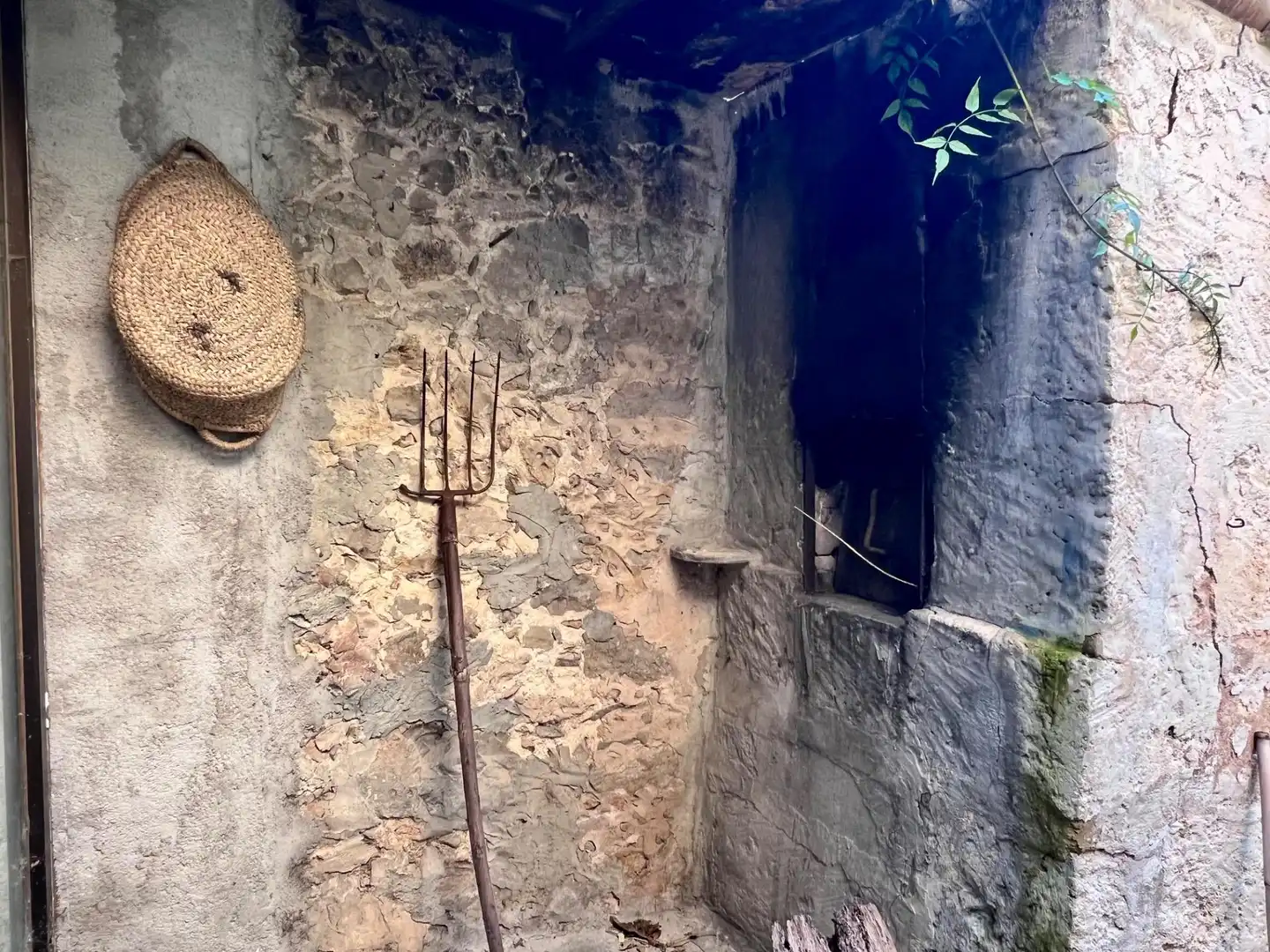 Jardín de Casa o chalet en venta en Selva