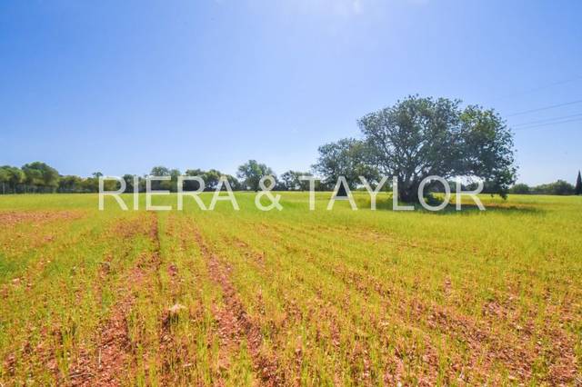 Terreno en Venta en Santanyí Poble