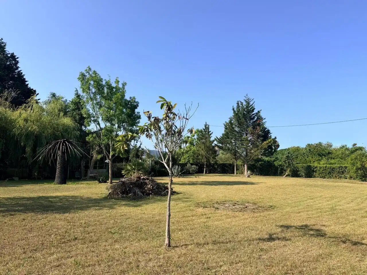 Terreny rústic en venda a El Callejo - La Pesquera - La Arenosa, imagen 3