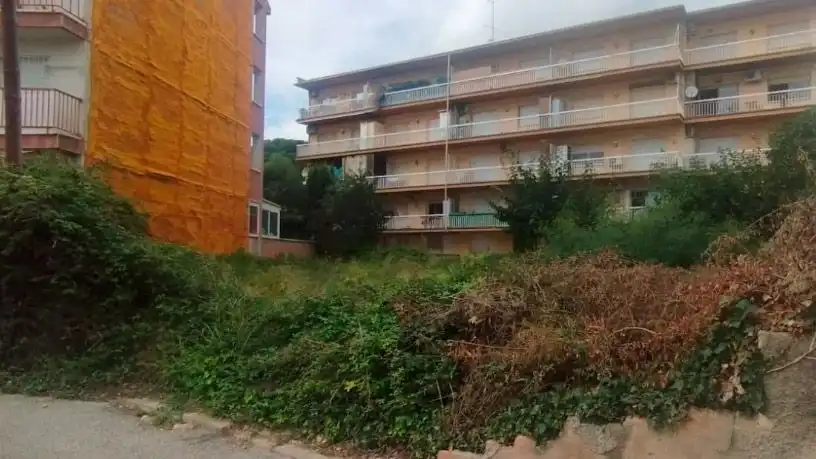 Terreni e lotti in vendita a Lugar Ferradura, imagen 3