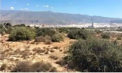 Terreno residenziale in vendita a El Ejido Ciudad, imagen 3