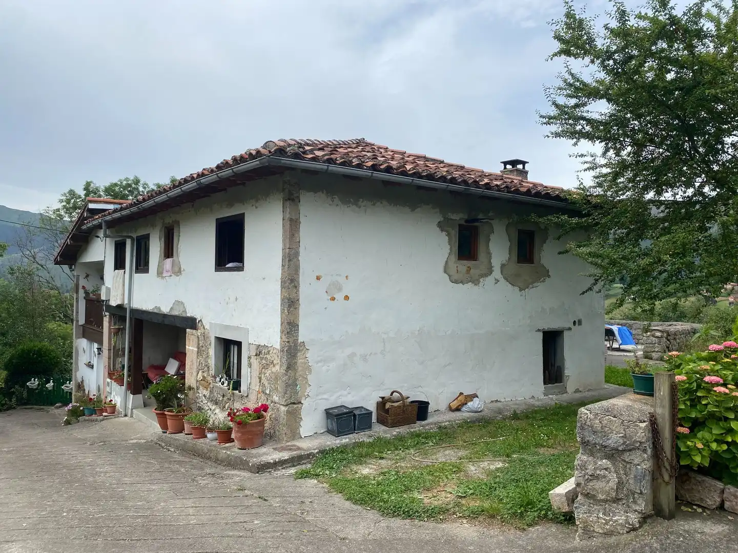 Exterior view of Houses for sale in Cangas de Onís  with Private garden