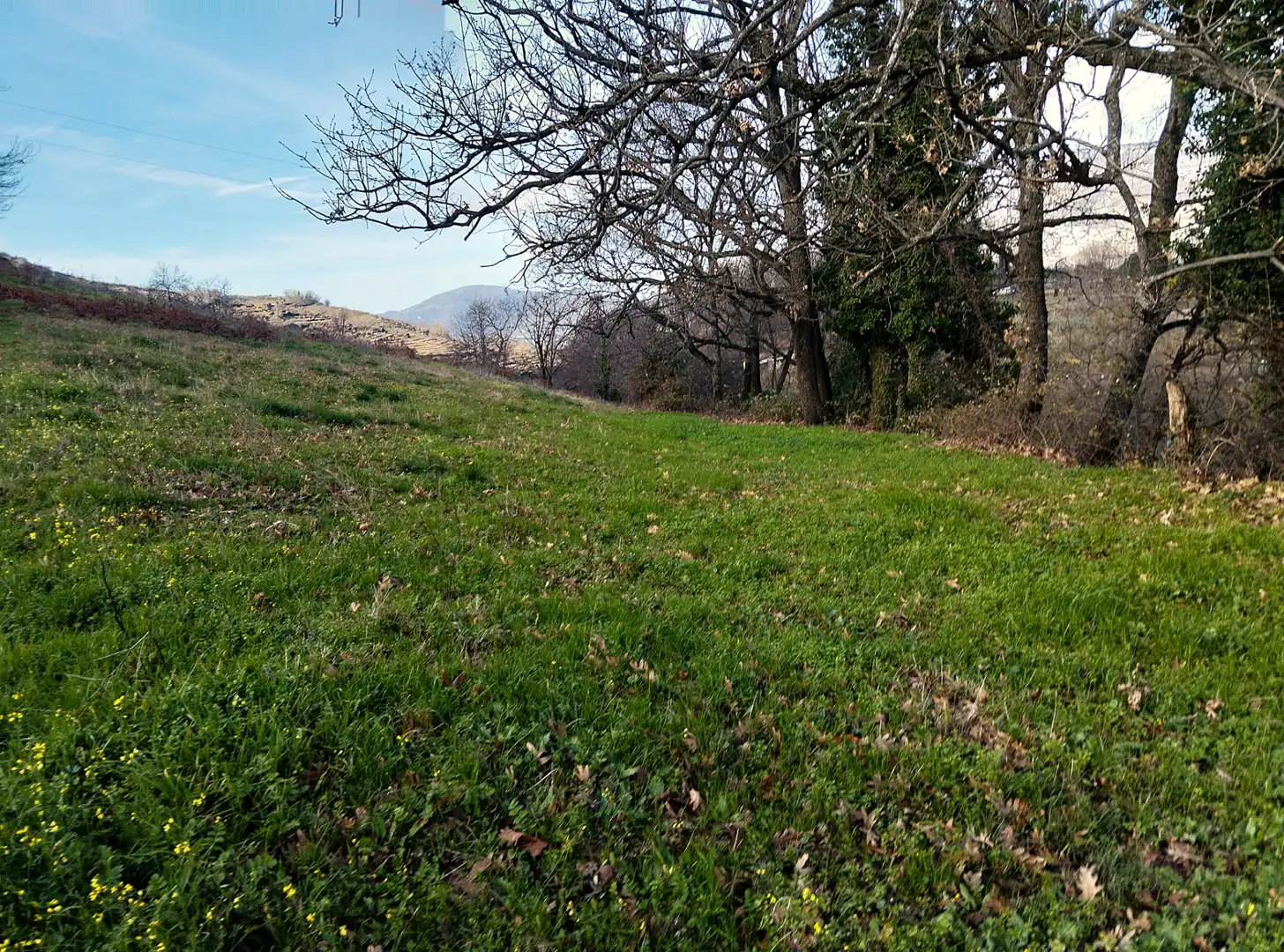Land for sale in Casas del Castañar