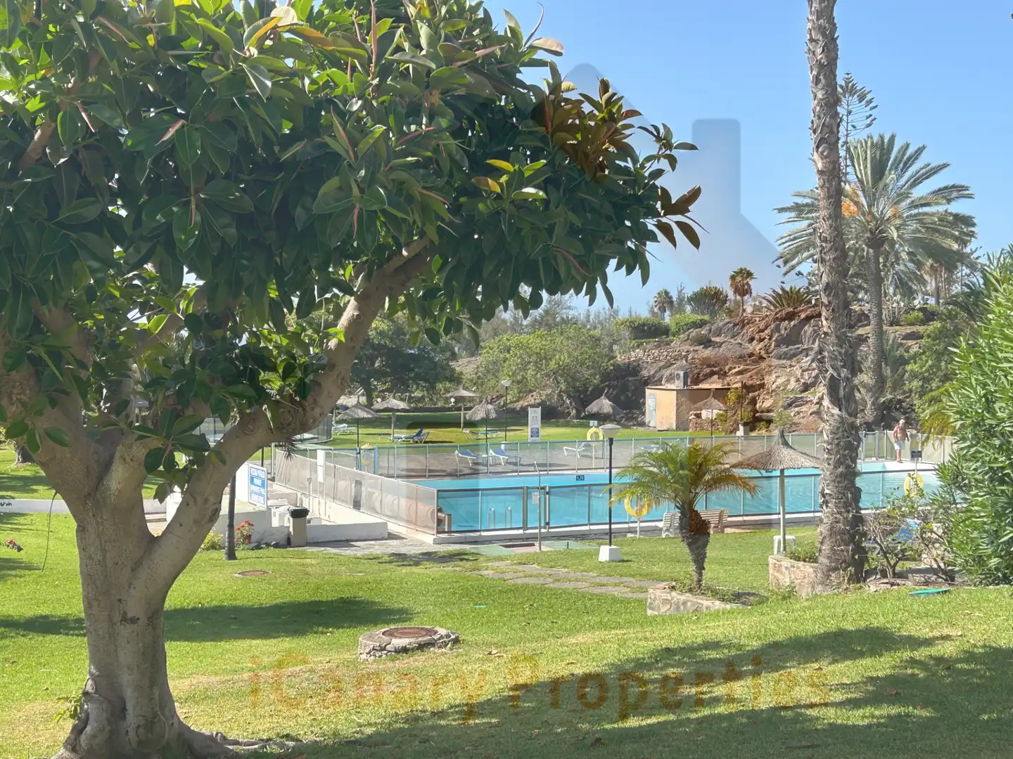 Schwimmbecken von Wohnungen zur Miete in San Bartolomé de Tirajana mit Klimaanlage, Terrasse und Möbliert