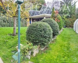 Jardí de Casa o xalet en venda en Valladolid Capital amb Piscina